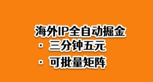 海外ip全自动掘金，2025必做蓝海项目，3分钟落地，矩阵直接开干【揭秘】-木石资源网