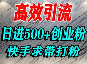 怎么打创业粉？快手求带视角精准引流创业粉，宝妈、学生群体日进500+精准流量-木石资源网