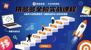 拼多多全阶实战课程,从新手小白到运营高手,海量实战玩法+全年实时更新【2025年9月更新】-木石资源网