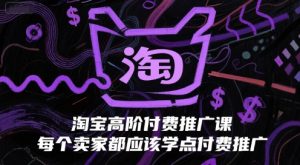 淘宝高阶付费推广课，每个卖家都应该学点付费推广-木石资源网