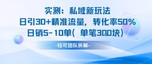 实测私域新玩法日引30加精准流量转化率50%日销5-10单每笔3张-木石资源网