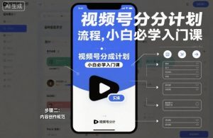 视频号分成计划实操流程，小白必学入门课-木石资源网