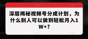 深层揭秘视频号分成计划,为什么别人可以做到轻松月入1W+?-木石资源网