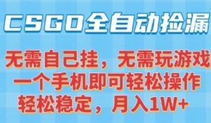 CSGO自动捡漏项目，最新独家玩法，一个手机可操作，新手小白轻松月入1W+，操作简单易上手【揭秘】-木石资源网