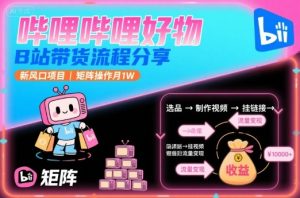 哔哩哔哩好物,B站带货流程分享,新风口项目,矩阵操作月1W-木石资源网