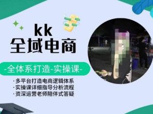 KK全域电商,全体系打造实操课,多平台打造电商逻辑体系-木石资源网