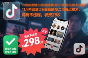 11月抖音某大V最新影视二创搬运技术，洗稿不违规，收费298-木石资源网