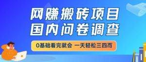 网创搬砖项目,国内问卷调查,小白轻松上手,一天三四张的也不难,干就完了【揭秘】-木石资源网