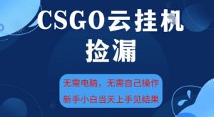 CSGO云挂G全自动捡漏，最新独家玩法，无需电脑操作，新手小白日入5张+【揭秘】-木石资源网