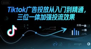 Tiktok广告投放从入门到精通,三位一体加强投流效果-木石资源网
