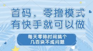 首码零撸项目，有快手就可以做，每天业务时间搞个几张不是问题【揭秘】-木石资源网