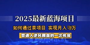 2025蓝海项目,普通人如何通过卖项目,实现月入过W,全过程【揭秘】-木石资源网