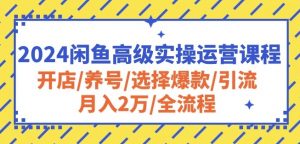 2024闲鱼高级实操运营课程:开店/养号/选择爆款/引流/月入2万/全流程-木石资源网