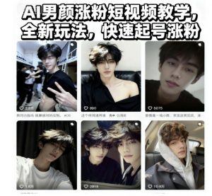 AI男颜涨粉短视频教学，全新玩法，快速起号涨粉-木石资源网