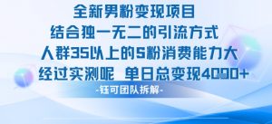 全新男粉变现项目引流人群35以上的男粉消费能力大 经过实测单日变现1k+-木石资源网