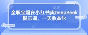 全职宝妈在小红书卖DeepSeek提示词,一天收益1k-木石资源网