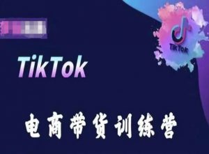 TikTok电商带货训练营，跟随时代潮流，跨境掘金-木石资源网