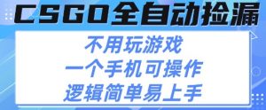 CSGO自动捡漏项目,最新独家玩法,不用挂G不用玩游戏,一个手机即可操作,新手小白轻松月入1W+【揭秘】-木石资源网