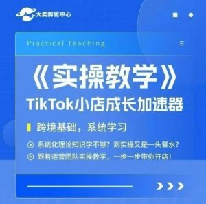 大卖家孵化中心TikTok实操课,TikTok小店成长加速器,跨境基础系统学习,一步一步带你开店-木石资源网