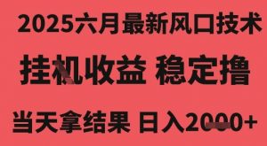 2025六月最新风口技术,无人挂G撸礼物,长期稳定 一个小时收益2k+,小白当天拿结果【揭秘】-木石资源网