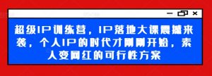 超级IP训练营,IP落地大课震撼来袭,个人IP的时代才刚刚开始,素人变网红的可行性方案-木石资源网