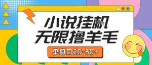 最新小说挂G自撸玩法本人实操单窗口20-50+可矩阵放大操作【揭秘】-木石资源网