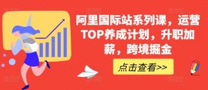 阿里国际站系列课,运营TOP养成计划,升职加薪,跨境掘金-木石资源网