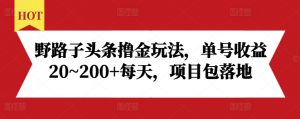 野路子头条撸金玩法,单号收益20~200+每天,项目包落地-木石资源网