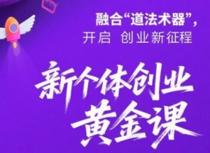 新个体创业黄金课：道法术器四维抢占2025红利-木石资源网