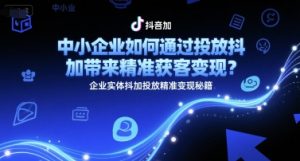 中小企业如何通过投放抖加带来精准获客变现?企业实体抖加投放精准变现秘籍-木石资源网