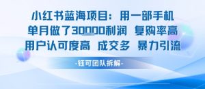 小红书蓝海项目，一部手机单月做了3W利润，小白也能月入过1W用户认可度高成交多-木石资源网