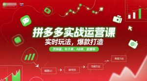 拼多多实战运营课,实时玩法,爆款打造,改销量,补大单,AB单,直播等(更新2025月)-木石资源网