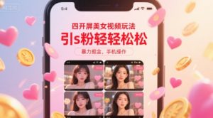 四开屏美女视频玩法，引s粉轻轻松松，暴力掘金，手机操作【揭秘】-木石资源网