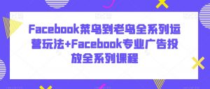 Facebook菜鸟到老鸟全系列运营玩法+Facebook专业广告投放全系列课程-木石资源网