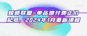 臻曦联盟-单品微付费正价起号，2024年1月最新课程-木石资源网