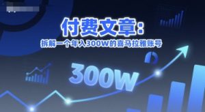 付费文章:拆解一个年入300W的喜马拉雅账号-木石资源网