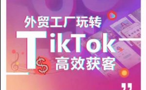 外贸工厂玩转TikTok高效获客,多种引流方式与账号定位技巧,拆解爆款短视频打造成功案例-木石资源网