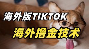 抖音海外版tiktok撸金技术，这个风口行业，赚钱真的不难【揭秘】-木石资源网