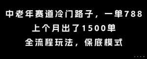 中老年赛道冷门路子,一单788,上个月出了1500单,全流程玩法,保底模式【揭秘】-木石资源网