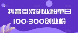 抖音引流创业粉单日100-300创业粉【揭秘】-木石资源网