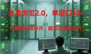 外卖浏览2.0,单窗口30+可矩阵无限多开,脚本全自动运行【揭秘】-木石资源网