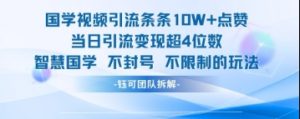 国学视频引流条条10W+点赞当日引流变现超4位数-木石资源网