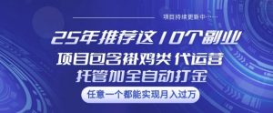 25年推荐这10个副业项目包含褂鸡类、代运营托管类、全自动打金类【揭秘】-木石资源网