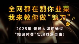 全网都在割你韭菜,我来教你做镰刀,2025普通人如何通过知识付费,实现财F自由【揭秘】-木石资源网
