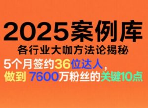 2025案例库,收录各行业大咖的方法论,各行业大咖方法论揭秘-木石资源网