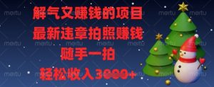 解气又挣钱的项目,最新违章拍照挣钱,随手一拍,轻松收入数张【揭秘】-木石资源网