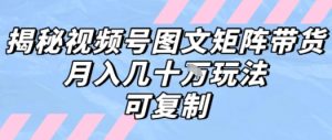 解密视频号图文矩阵带货,月入几个W的打法,可复制-木石资源网