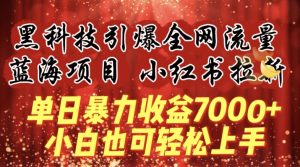 蓝海项目!黑科技引爆全网流量小红书拉新,单日暴力收益7000+,小白也能轻松上手【揭秘】-木石资源网