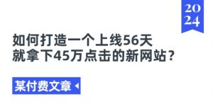 某付费文章《如何打造一个上线56天就拿下45万点击的新网站?》-木石资源网