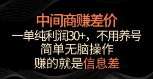 中间商赚差价，一单纯利润30+，简单无脑操作，赚的就是信息差，轻轻松松日入1000+【揭秘】-木石资源网